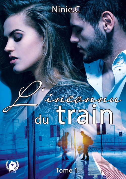 ebook cover of L'inconnu du train - Tome 1, by Ninie C