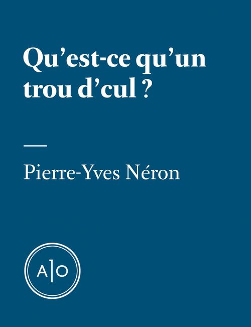 ebook cover of Qu´est-ce qu´un trou d´cul?, by Pierre-Yves Neron