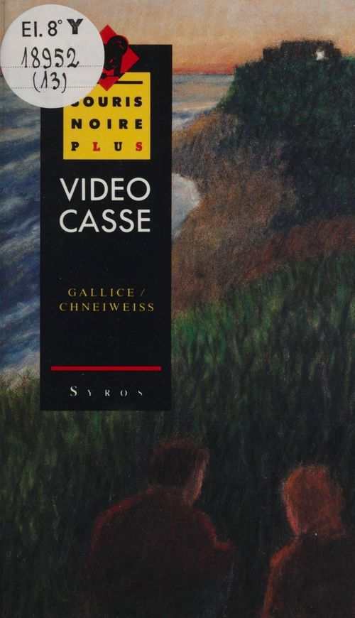 Couverture ebook de Vidéo casse, de Gallice