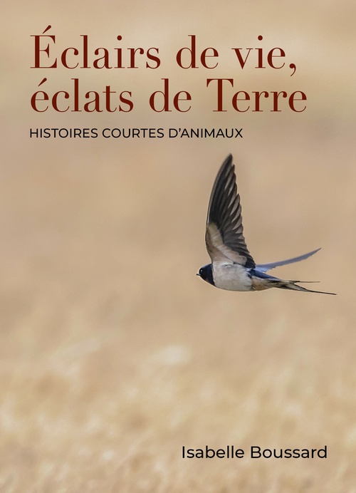 ebook cover of Éclairs de vie, éclats de Terre, by Isabelle Boussard