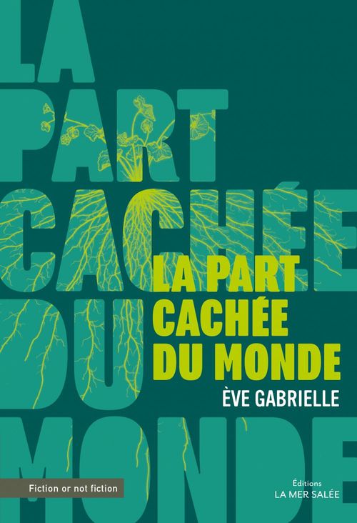 ebook cover of La part cachée du monde, by Eve Gabrielle