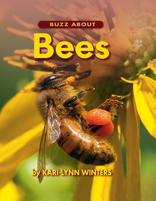 Couverture ebook de Buzz About Bees, de Kari-Lynn Winters