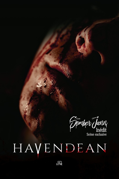 ebook cover of Les Somber Jann, by Cynthia Havendean