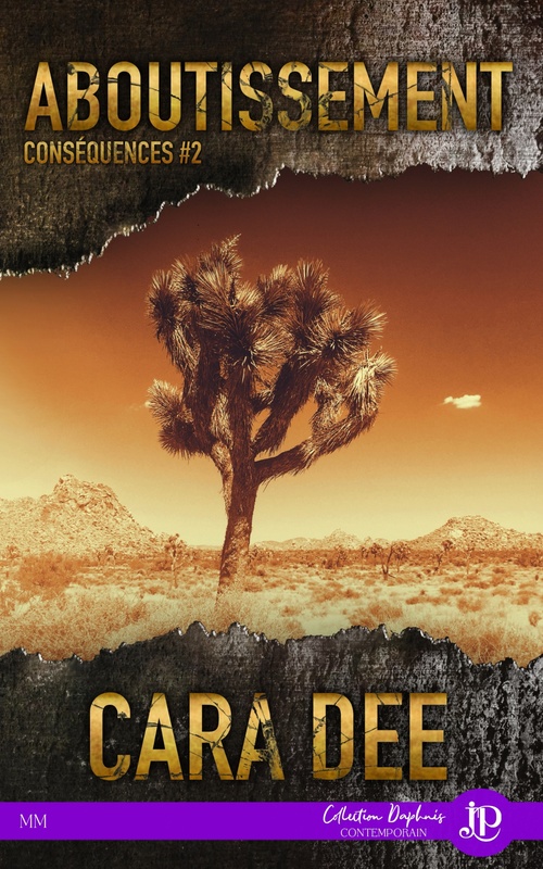 Couverture ebook de Aboutissement, de Cara Dee