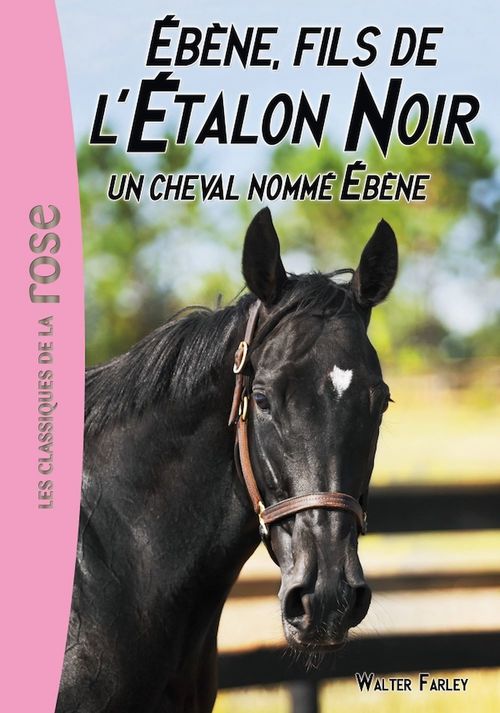 Couverture ebook de L'Étalon Noir 22 - Un cheval nommé Ébène, de Steven Farley