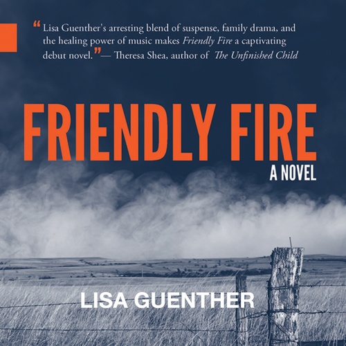 audiobook cover of Friendly Fire Audiobook, by Lisa Guenther