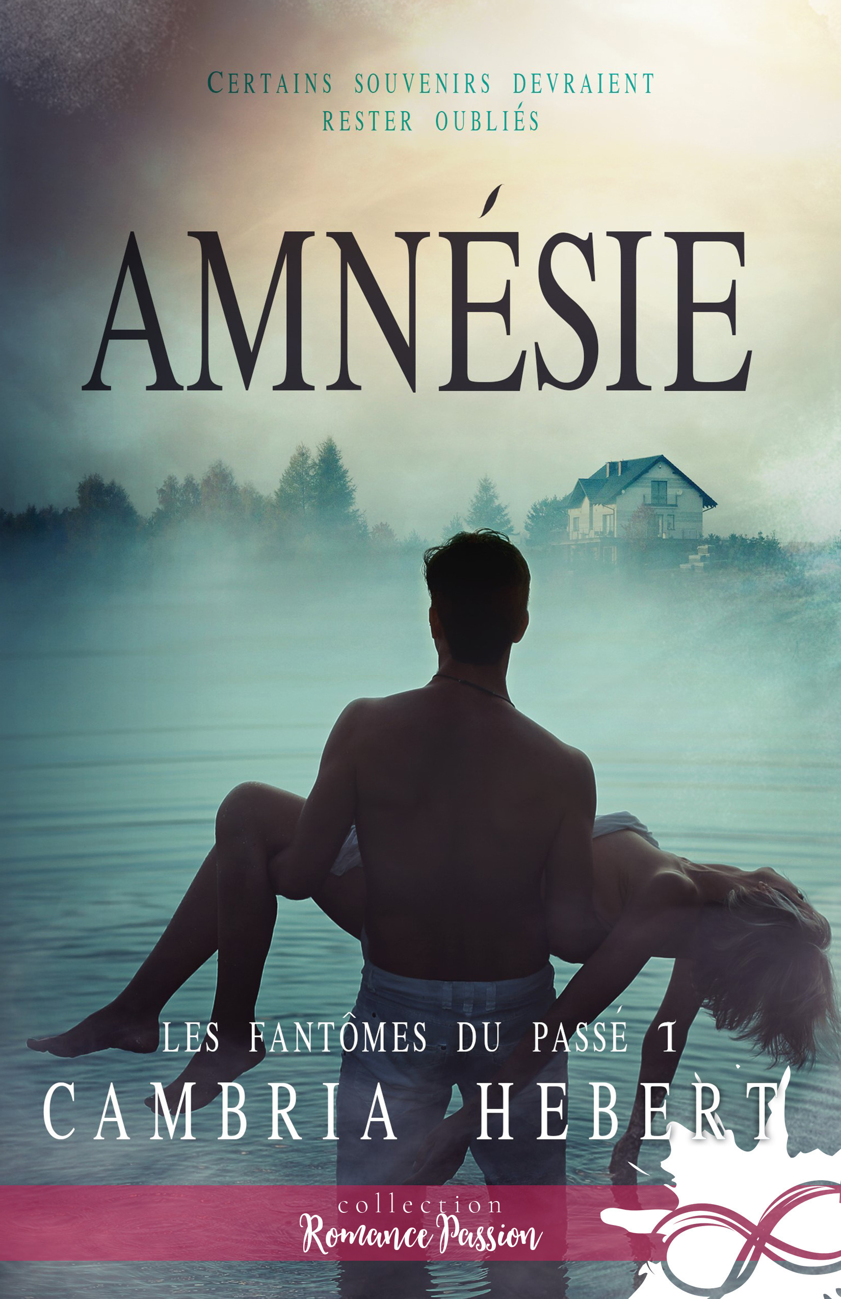 Couverture ebook de Amnésie, de Cambria Hebert