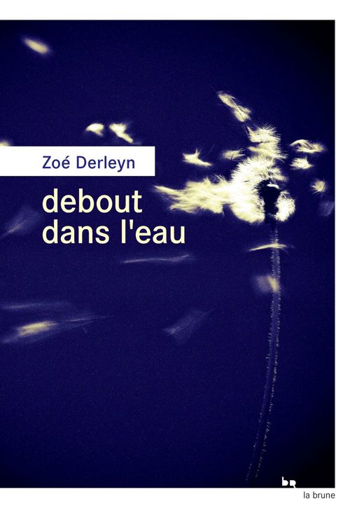 ebook cover of Debout dans l'eau, by Zoé Derleyn