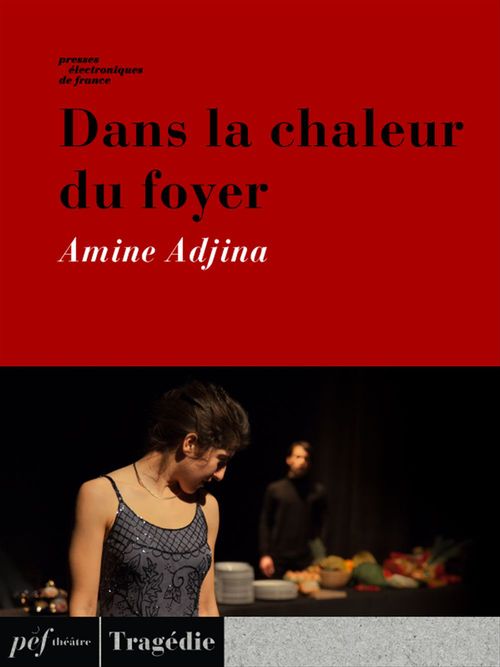 Couverture ebook de Dans la chaleur du foyer, de Amine Adjina