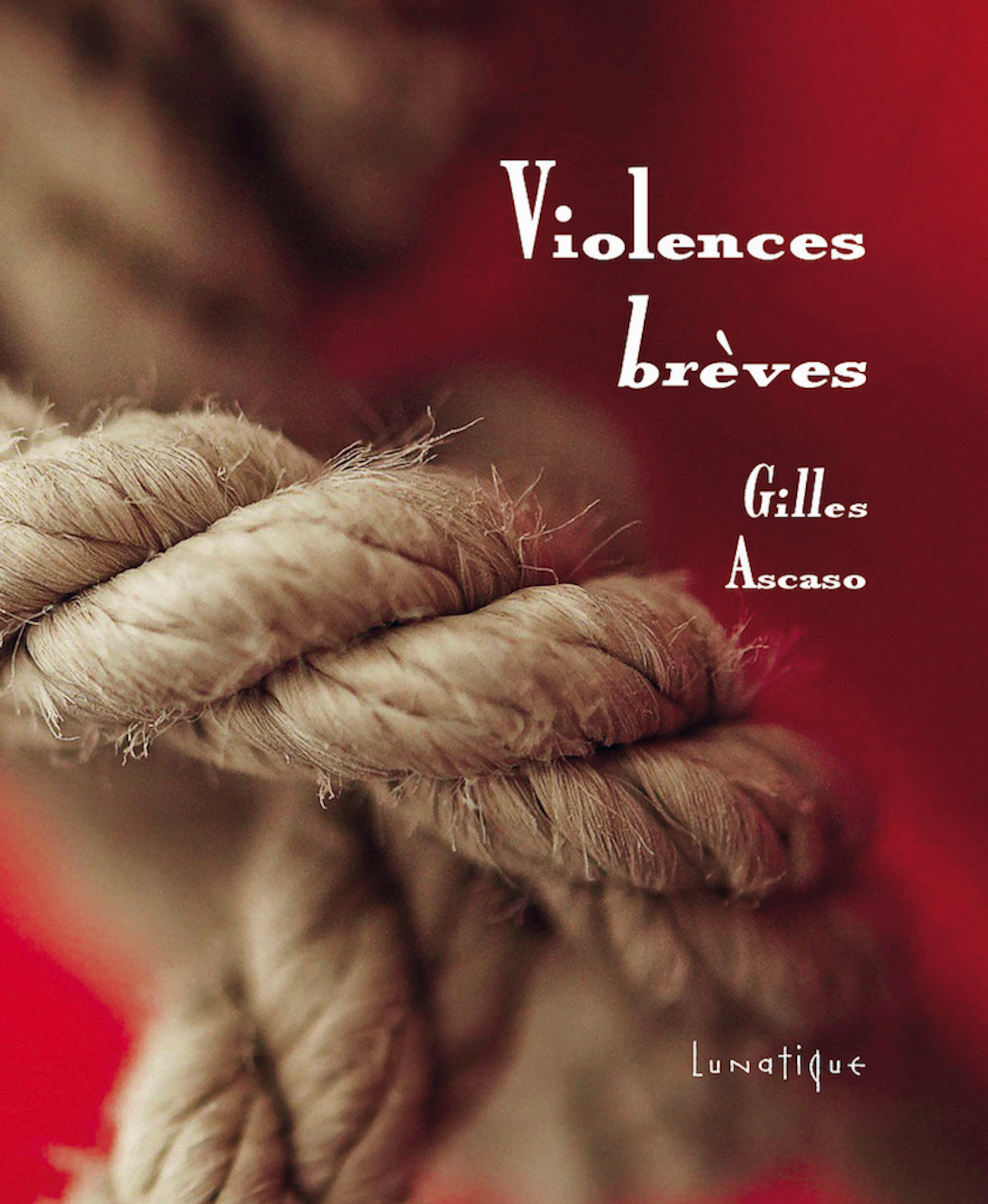 Couverture ebook de Violences brèves, de Gilles Ascaso
