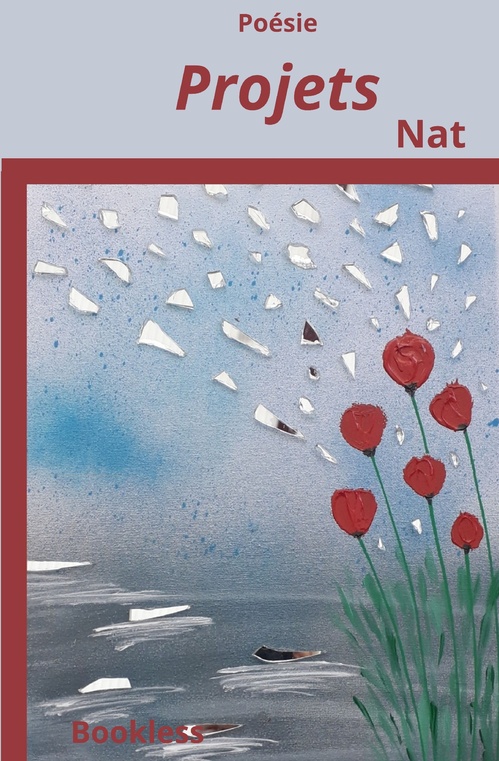 Couverture ebook de Projets, de Nathalie Carlier