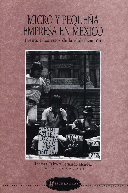 Couverture ebook de Micro y pequeña empresa en México, de