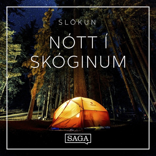 audiobook cover of Nótt í skóginum, by Rasmus Broe