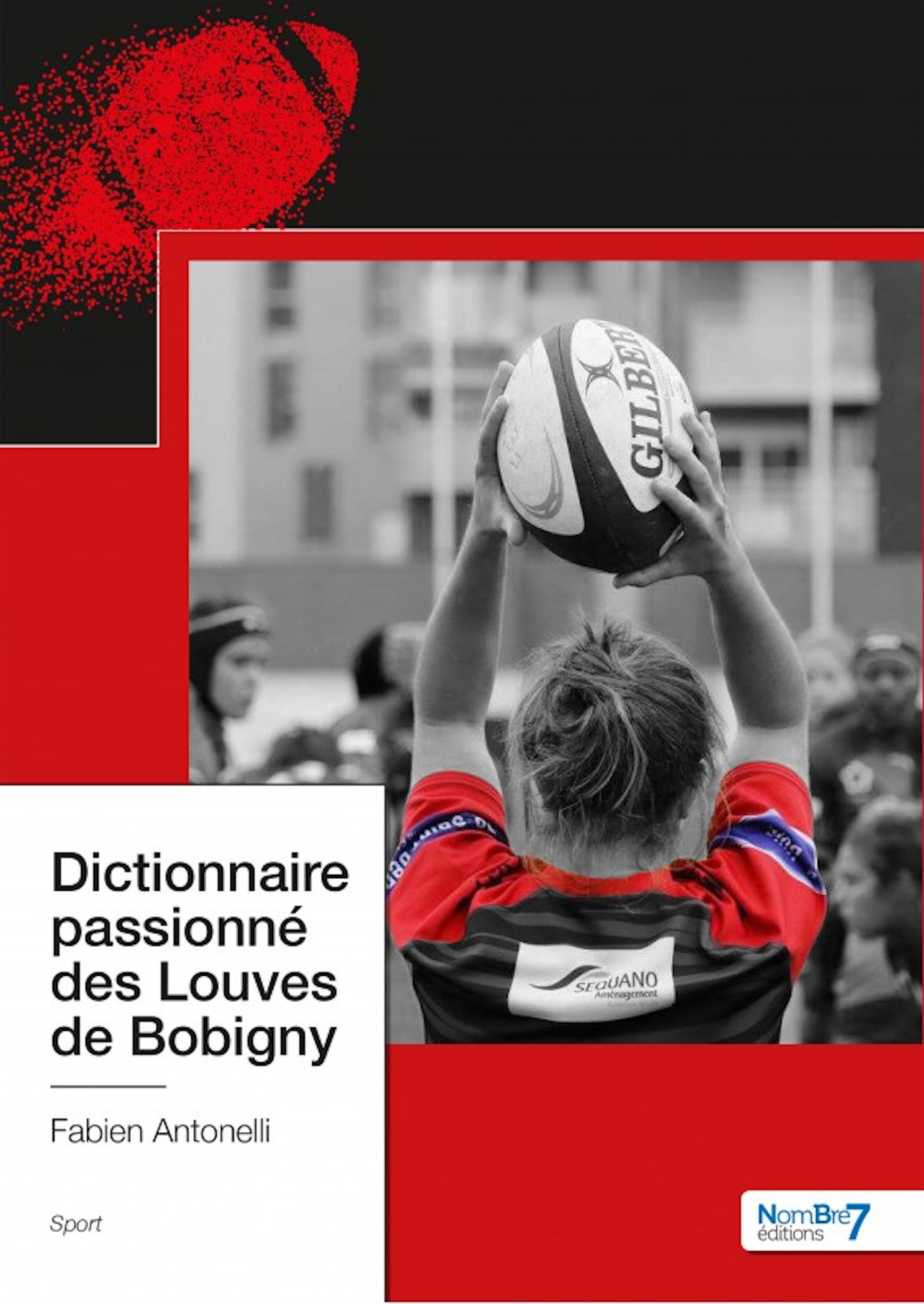 Couverture ebook de Dictionnaire passionné des Louves de Bobigny, de Fabien Antonelli