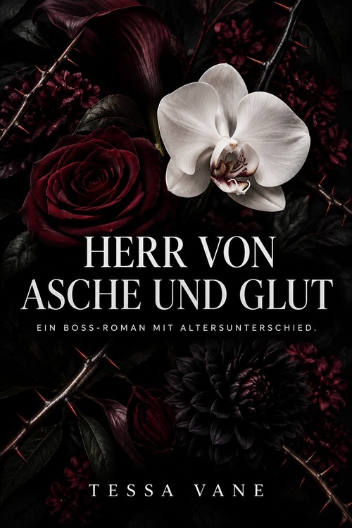 Couverture ebook de Herr von Asche und Glut, de Tessa Vane