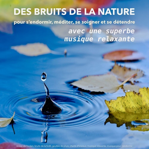 Couverture audiobook de Des bruits de la nature avec une superbe musique relaxante - pour s'endormir, méditer, se soigner et se détendre, de Yella A. Deeken