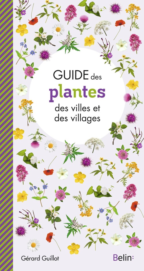 Couverture ebook de Guide des plantes des villes et villages, de Gérard Guillot