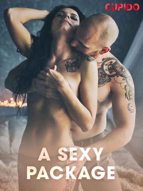 ebook cover of A Sexy Package, by Cupido And Others