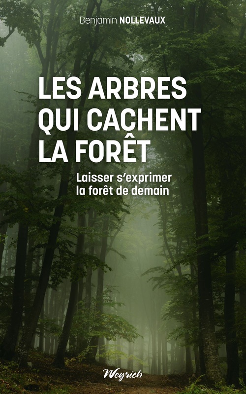 Couverture ebook de Les arbres qui cachent la forêt, de Benjamin Nollevaux