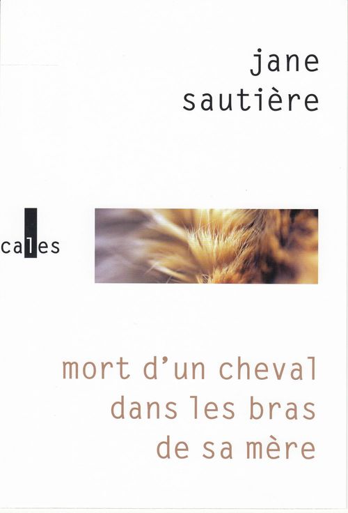 ebook cover of Mort d´un cheval dans les bras de sa mère, by Jane Sautière