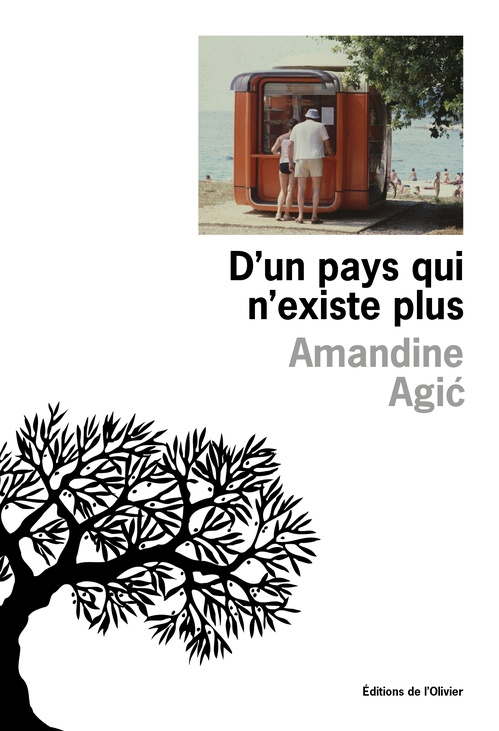 ebook cover of D'un pays qui n'existe plus, by Amandine Agi´c