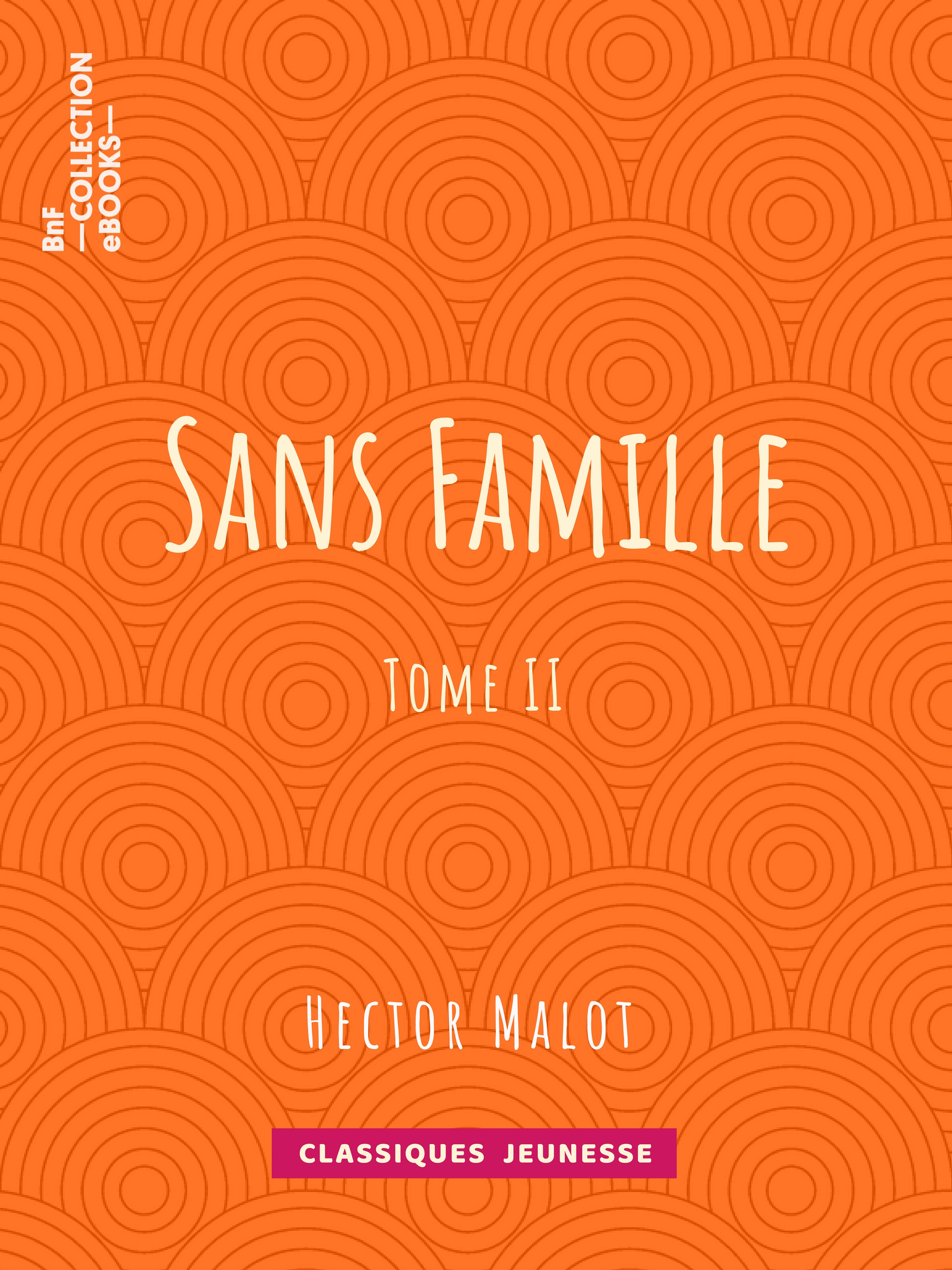 ebook cover of Sans famille, by Hector Malot