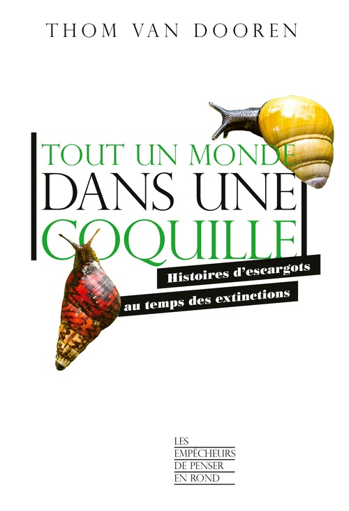 ebook cover of Tout un monde dans une coquille - Histoires d'escargots au temps des extinctions, by Thom Van dooren
