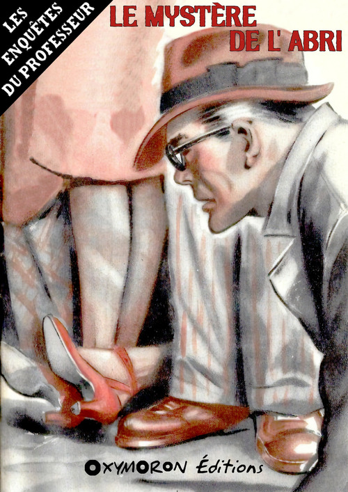 ebook cover of Le mystère de l'abri, by Rene Byzance