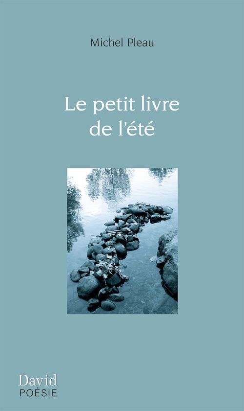 Couverture ebook de Le petit livre de l´été, de Pleau Michel