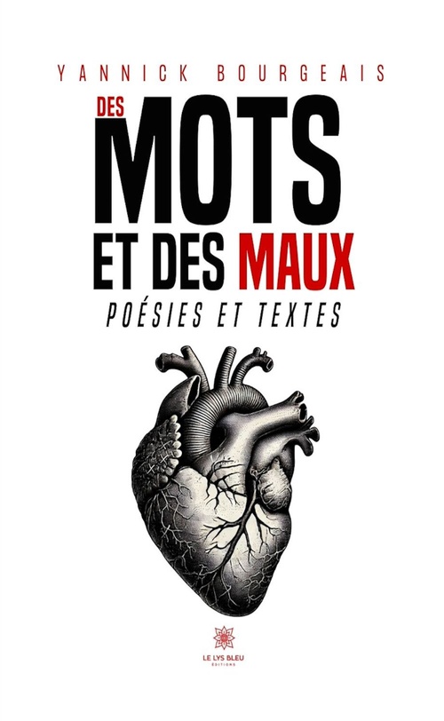 Couverture ebook de Des mots et des maux, de Yannick Bourgeais