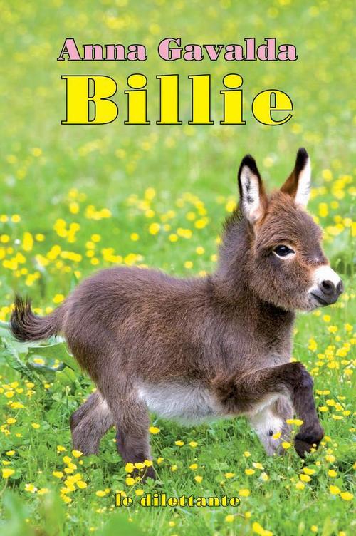 ebook cover of Billie, by Anna Gavalda