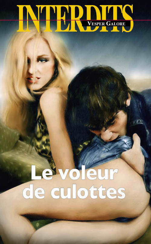 Couverture ebook de Le voleur de culottes, de Vesper Galore