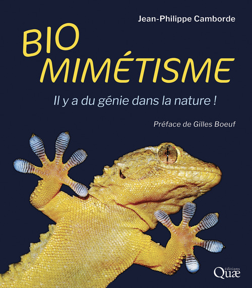 Couverture ebook de Biomimétisme, de Jean-Philippe Camborde