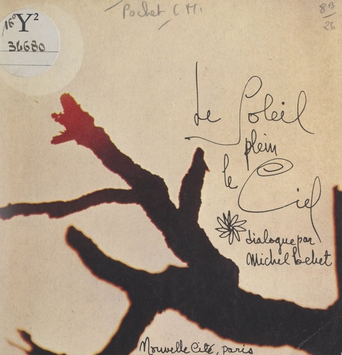 Couverture ebook de Le soleil plein le ciel, de Michel Pochet