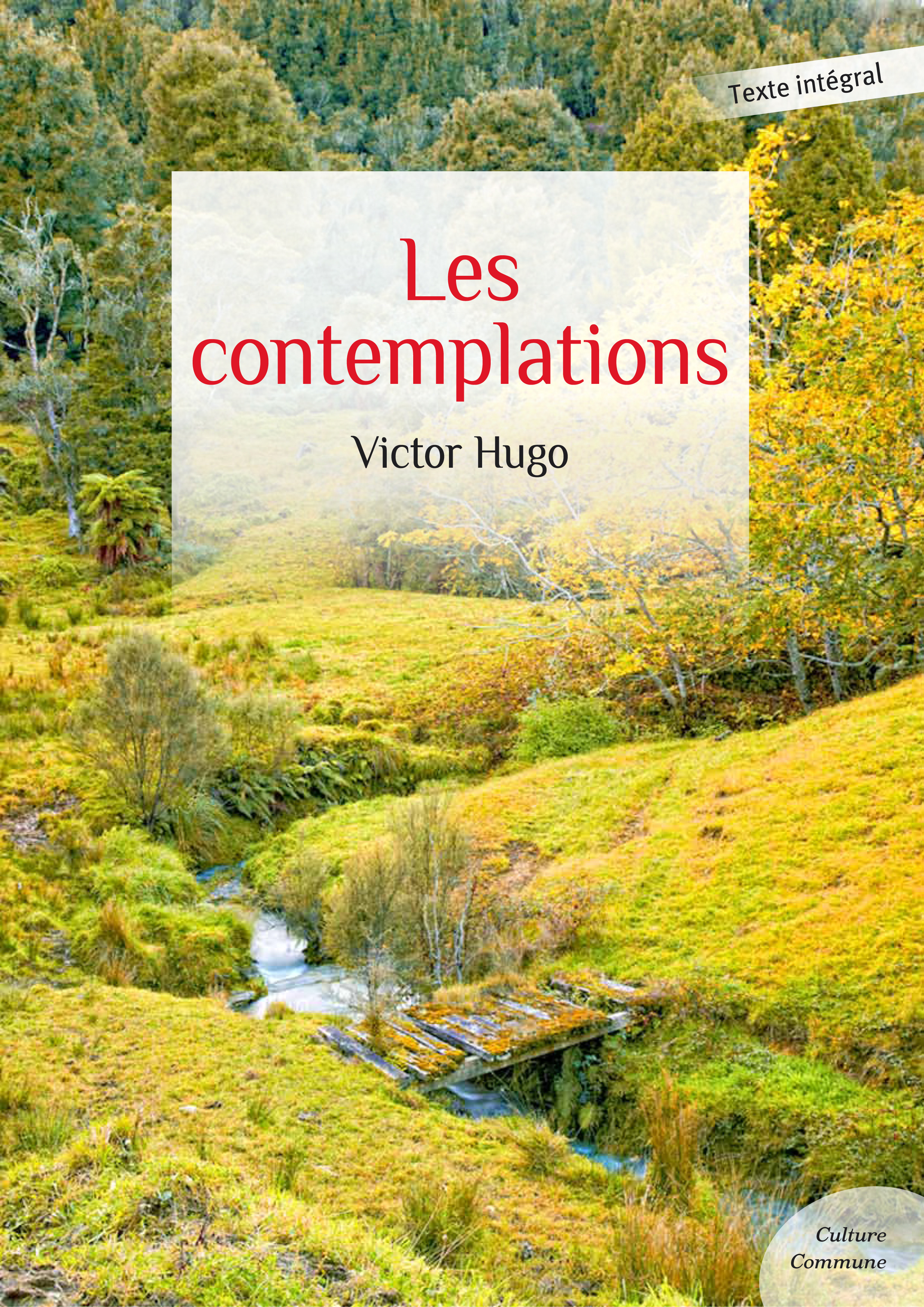 ebook cover of Les contemplations, by Victor Hugo