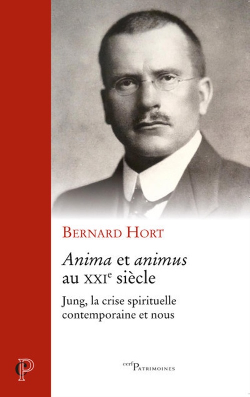 Couverture ebook de ANIMA ET ANIMUS AU XXIE SIECLE, de Bernard Hort