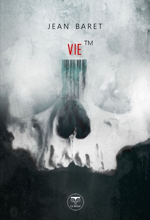 ebook cover of VieTM, by Jean Baret