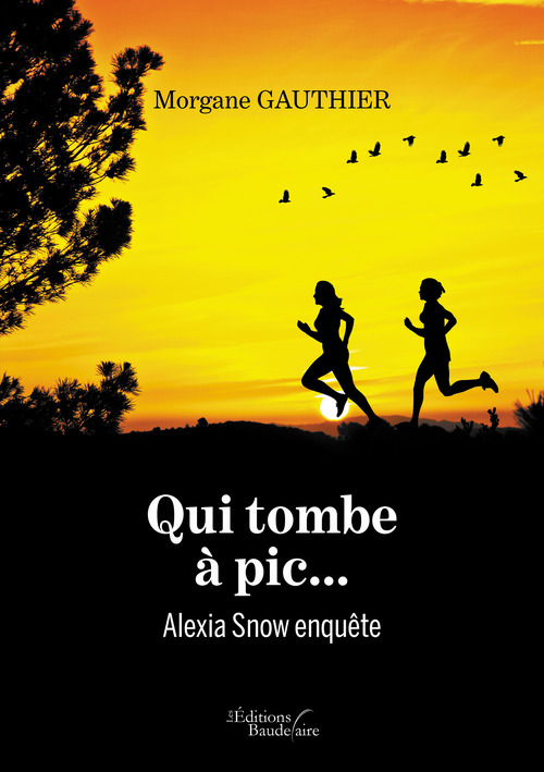 Couverture ebook de Qui tombe à pic... - Alexia Snow enquête, de Morgane Gauthier