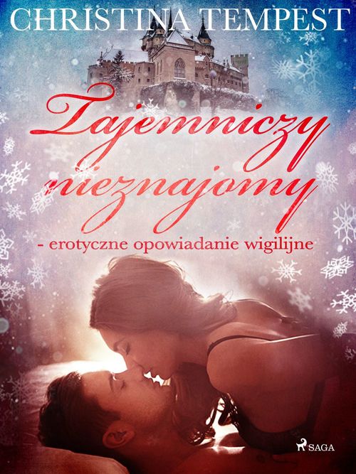 ebook cover of Tajemniczy nieznajomy - erotyczne opowiadanie wigilijne, by Christina Tempest