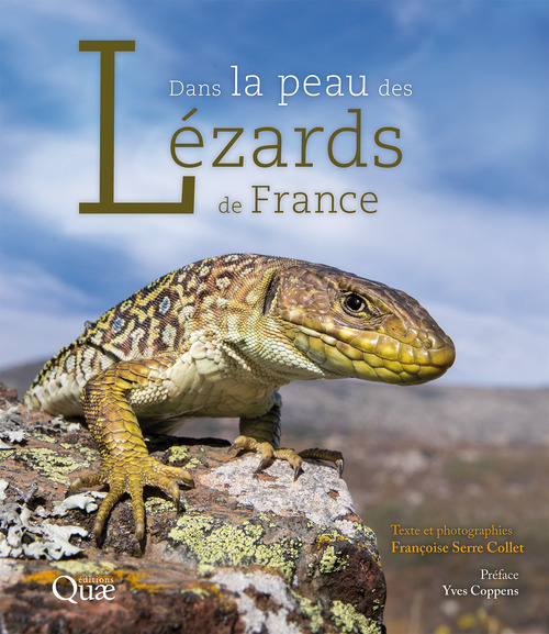 ebook cover of Dans la peau des lézards de France, by Serre Collet F.