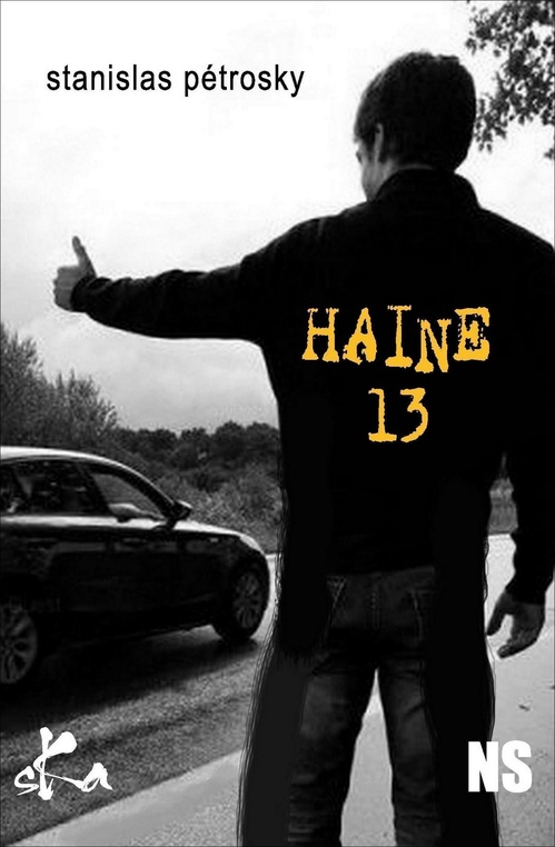 ebook cover of Haine 13, by Stanislas Petrosky