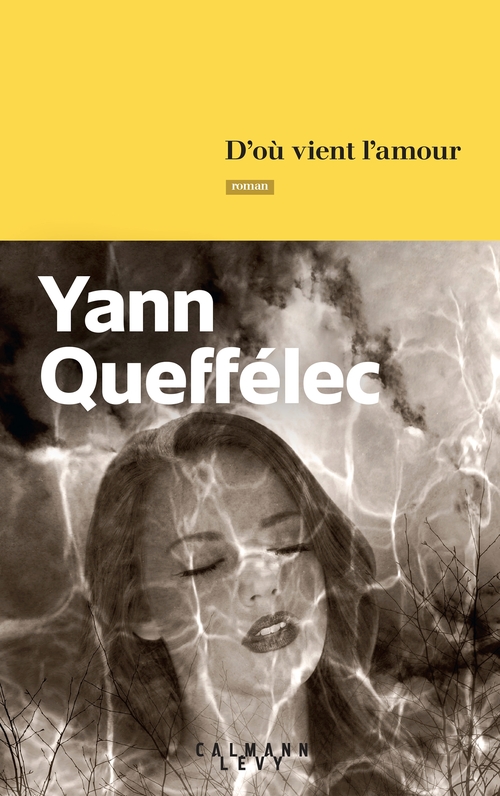 ebook cover of D'où vient l'amour, by Yann Queffélec