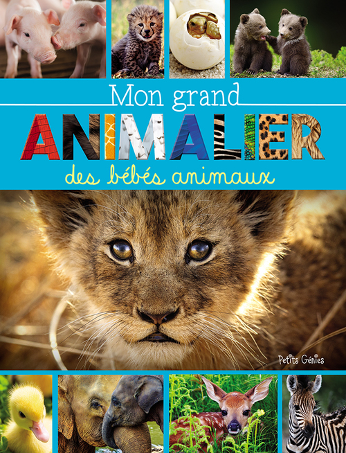 ebook cover of Mon grand animalier des bébés animaux, by Marie-Ève Côté