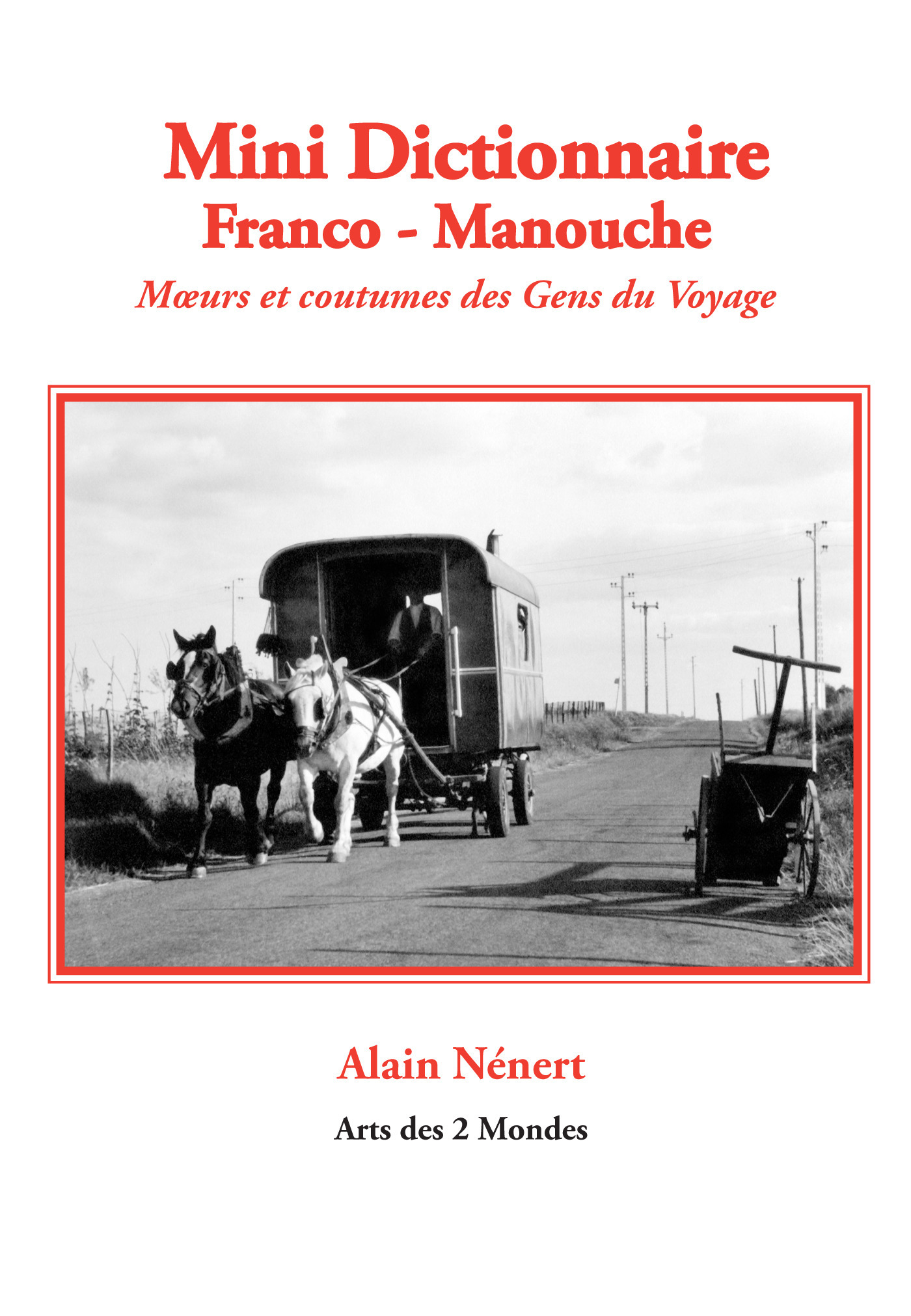 ebook cover of Mini Dictionnaire Franco - Manouche, by Alain Nenert