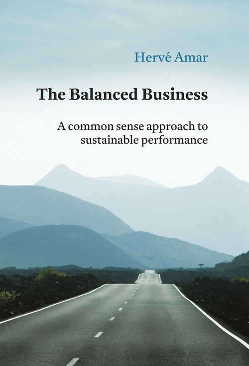 Couverture ebook de The Balanced Business, de Herve Amar