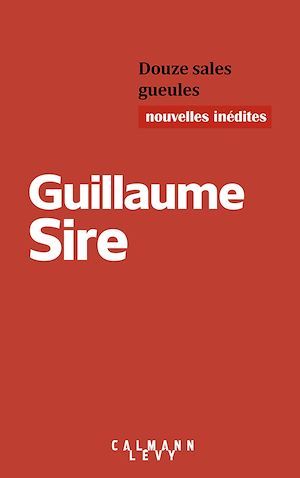 Couverture ebook de Douze sales gueules, de Guillaume Sire