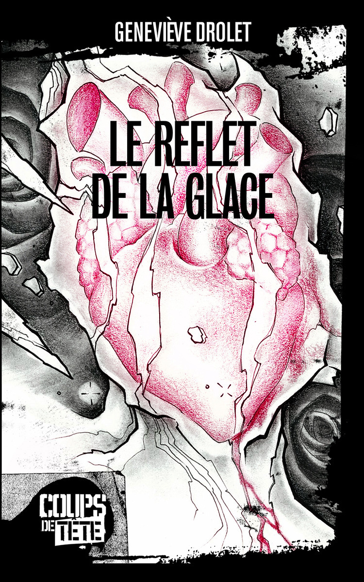 ebook cover of Le reflet de la glace, by Geneviève Drolet