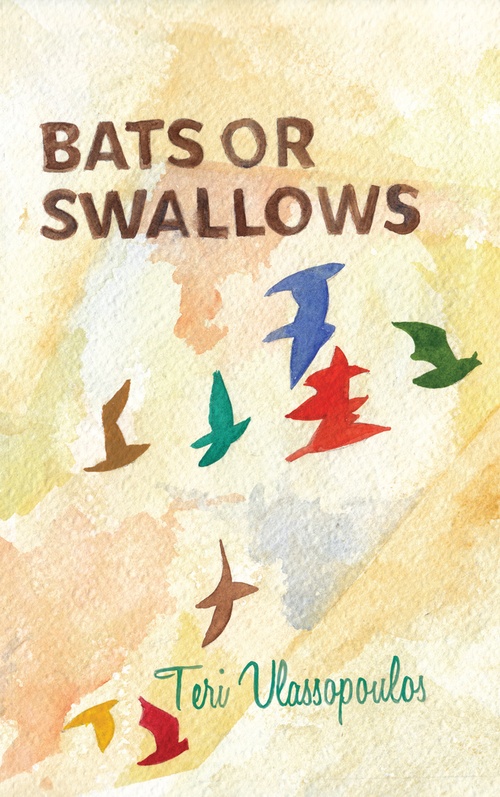 Couverture ebook de Bats or Swallows, de Teri Vlassopoulos