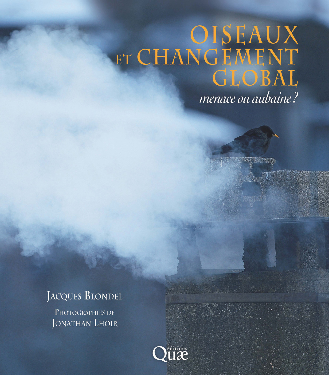 ebook cover of Oiseaux et changement global, by Jacques Blondel, Jonathan Lhoir