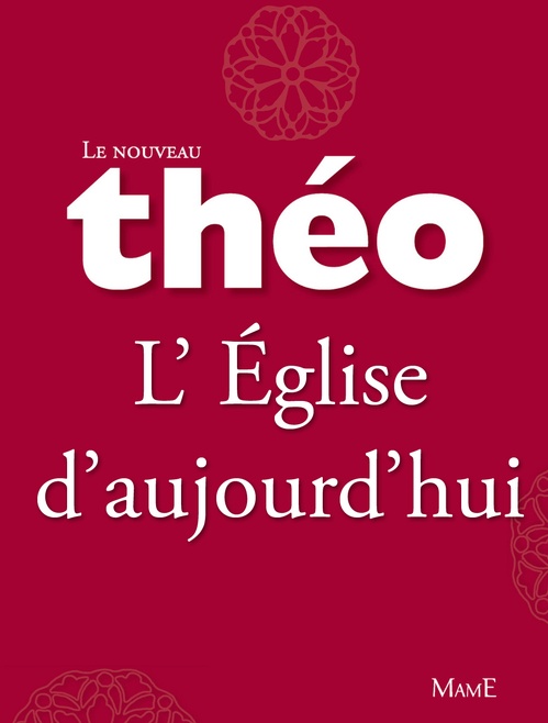 ebook cover of Le nouveau Théo - Livre 6 - L'Église d'aujourd'hui, by Michel Dubost, Stanislas Lalanne